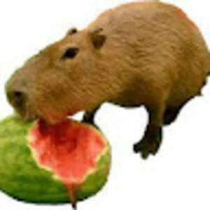 Meet your Posher, Capybaragod